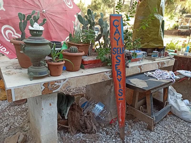 Pala Dayi Camping