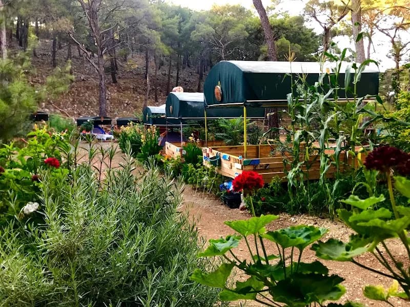Beş Adalar Camping