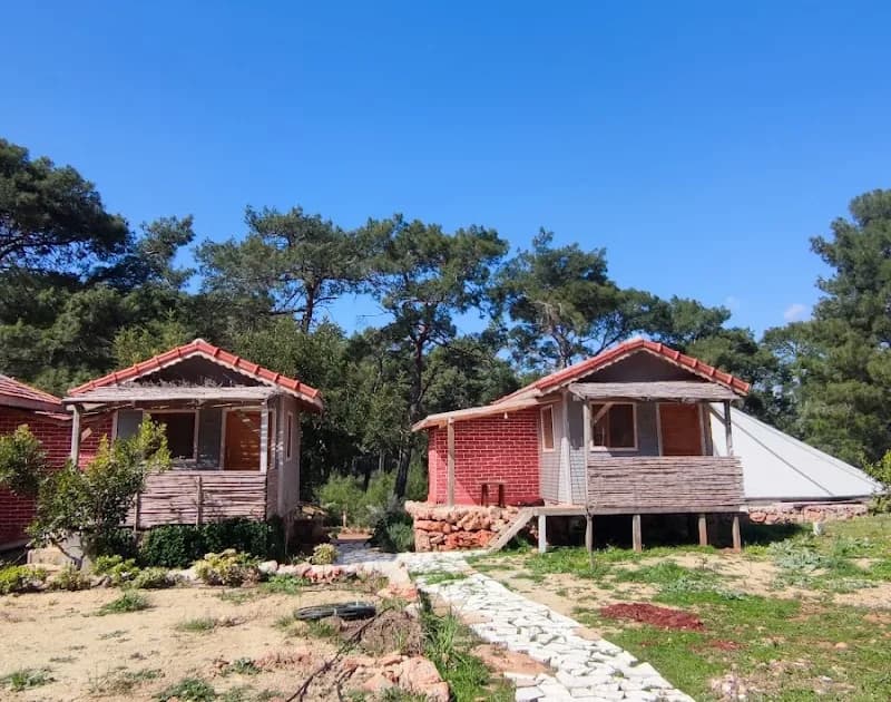 Tabiat Park Bungalow's