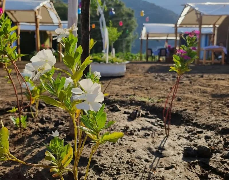 Birader Glamping