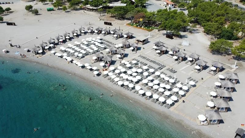 Fourest Büyük Çaltıcak – Konyaaltı, Antalya, kapak görseli