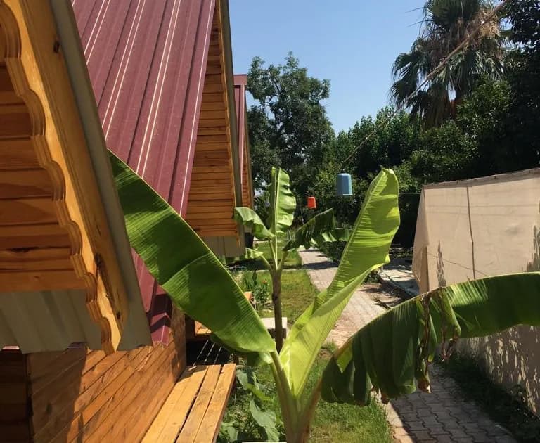 Gökçe Bungalov | Adrasan Kiralık Bungalov - Kiralık Glamping - Kamp / Çadır Alanı
