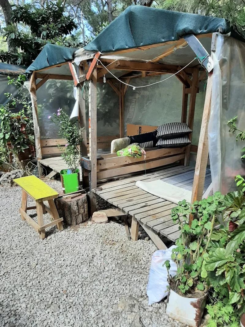 Pala Dayi Camping – Kumluca, Antalya, görsel 2