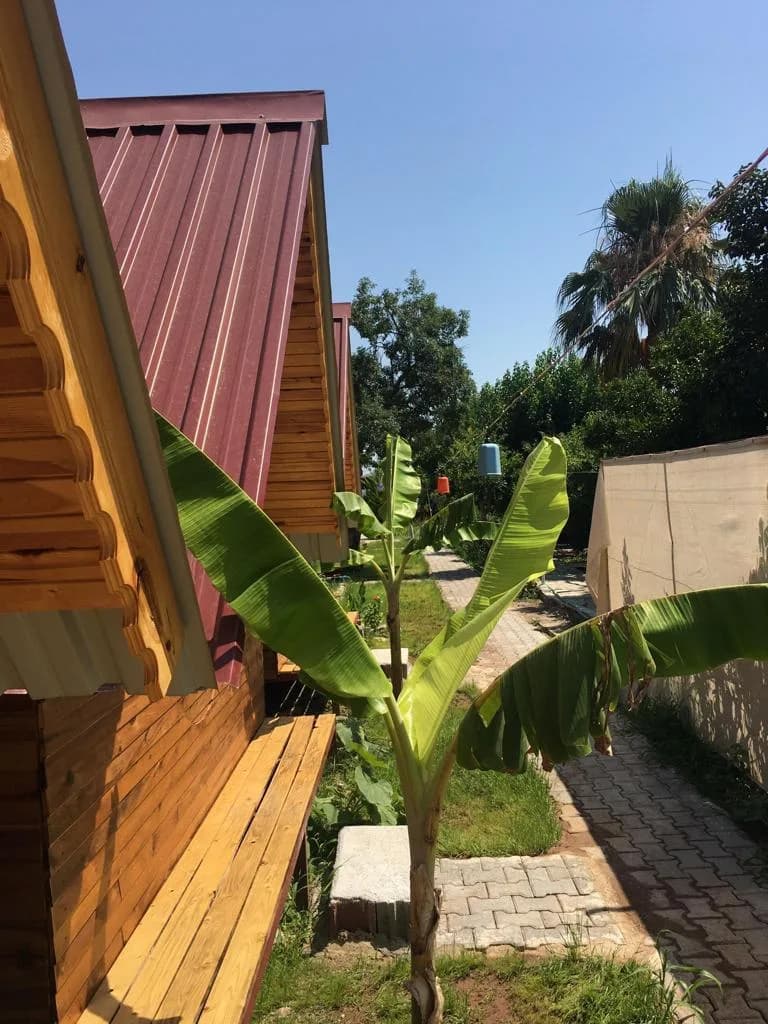 Gökçe Bungalov | Adrasan Kiralık Bungalov - Kiralık Glamping - Kamp / Çadır Alanı
