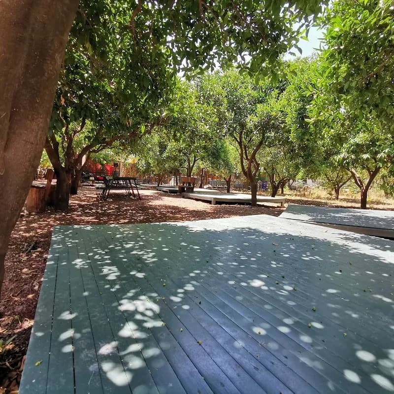 Kum Kamping – Kumluca, Antalya, görsel 3