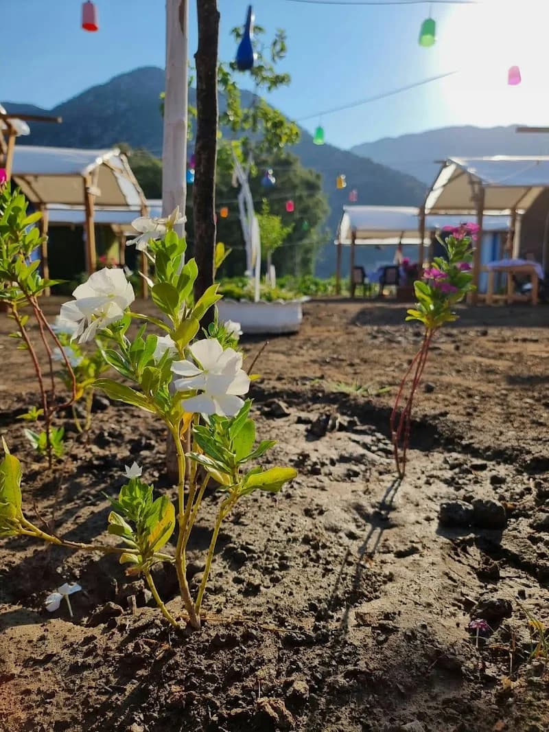 Birader Glamping – Kumluca, Antalya, kapak görseli