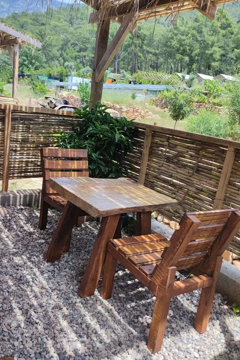 Tabiat Park Bungalow's