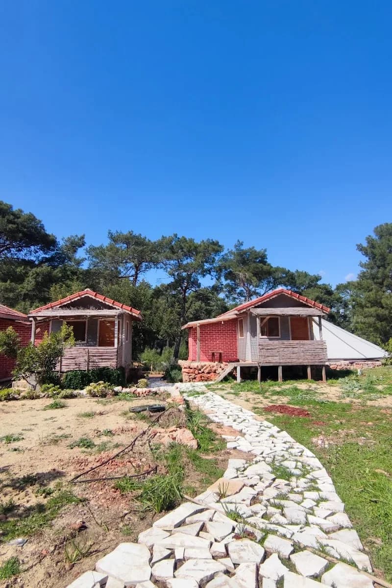 Tabiat Park Bungalow's