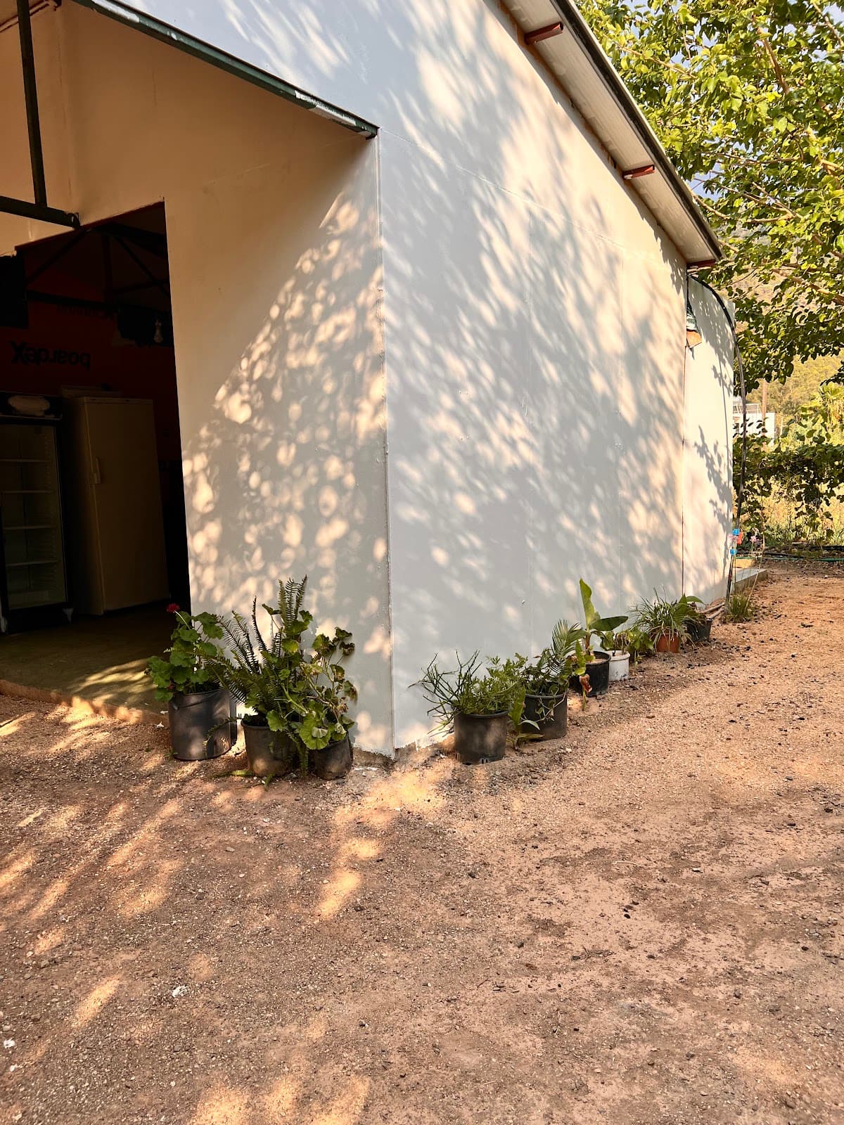 Adrasan Camping Parlak Kamp Alanı