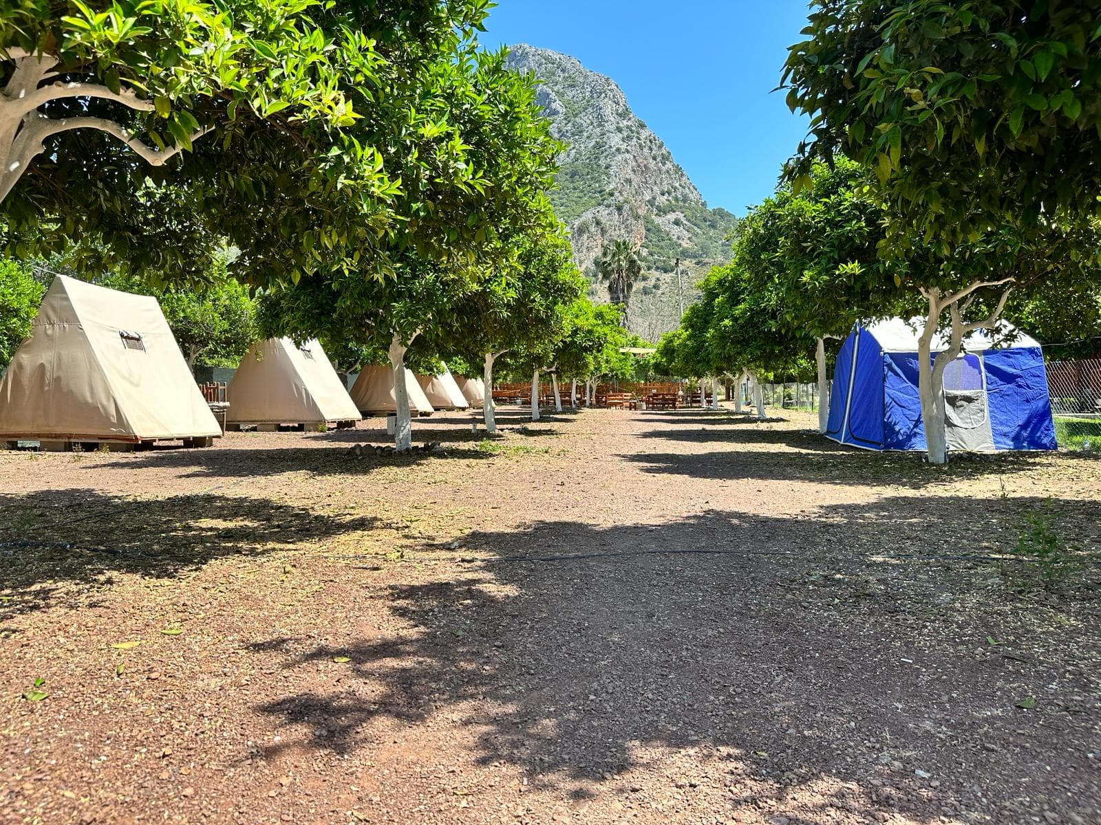 Adrasan GÖLGE CAMPİNG