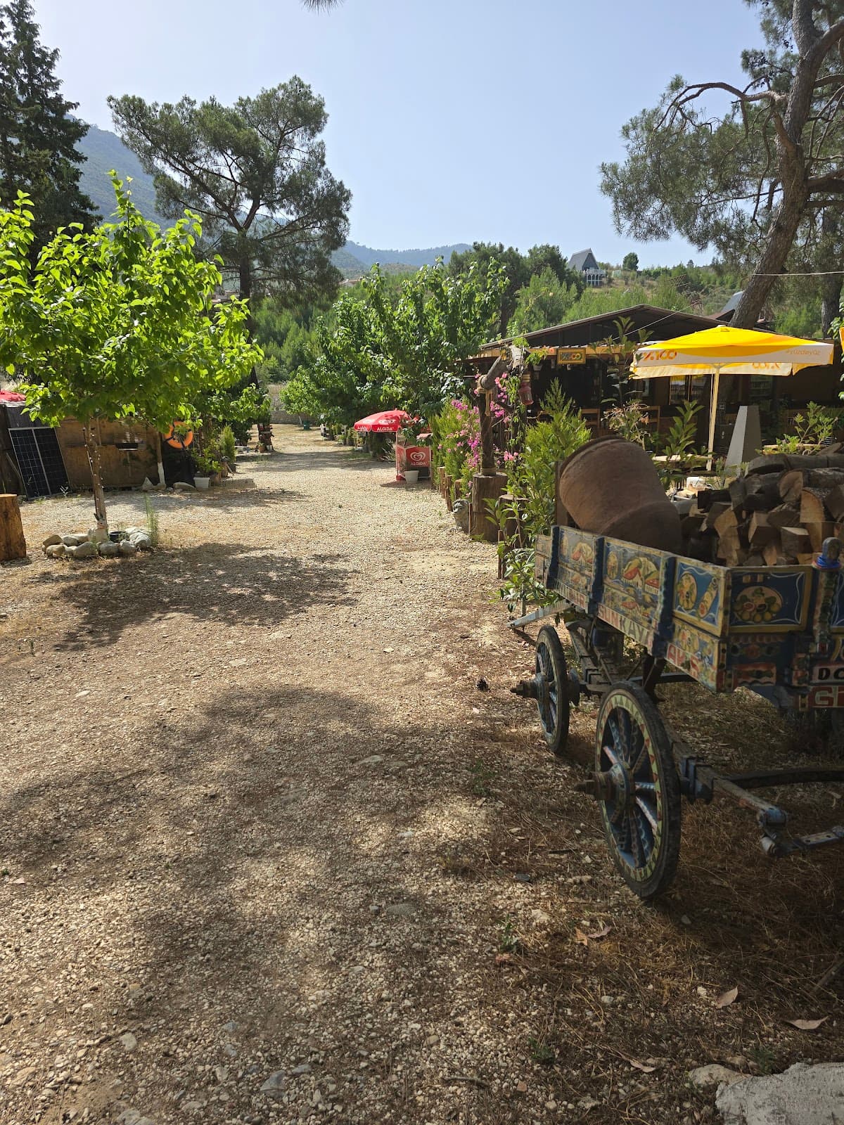 Cafe Linda Kahvaltı Ve Kamp Alanı