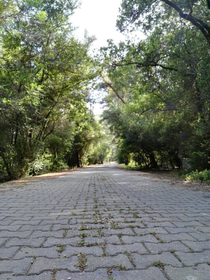 Çubucak Orman Kampı