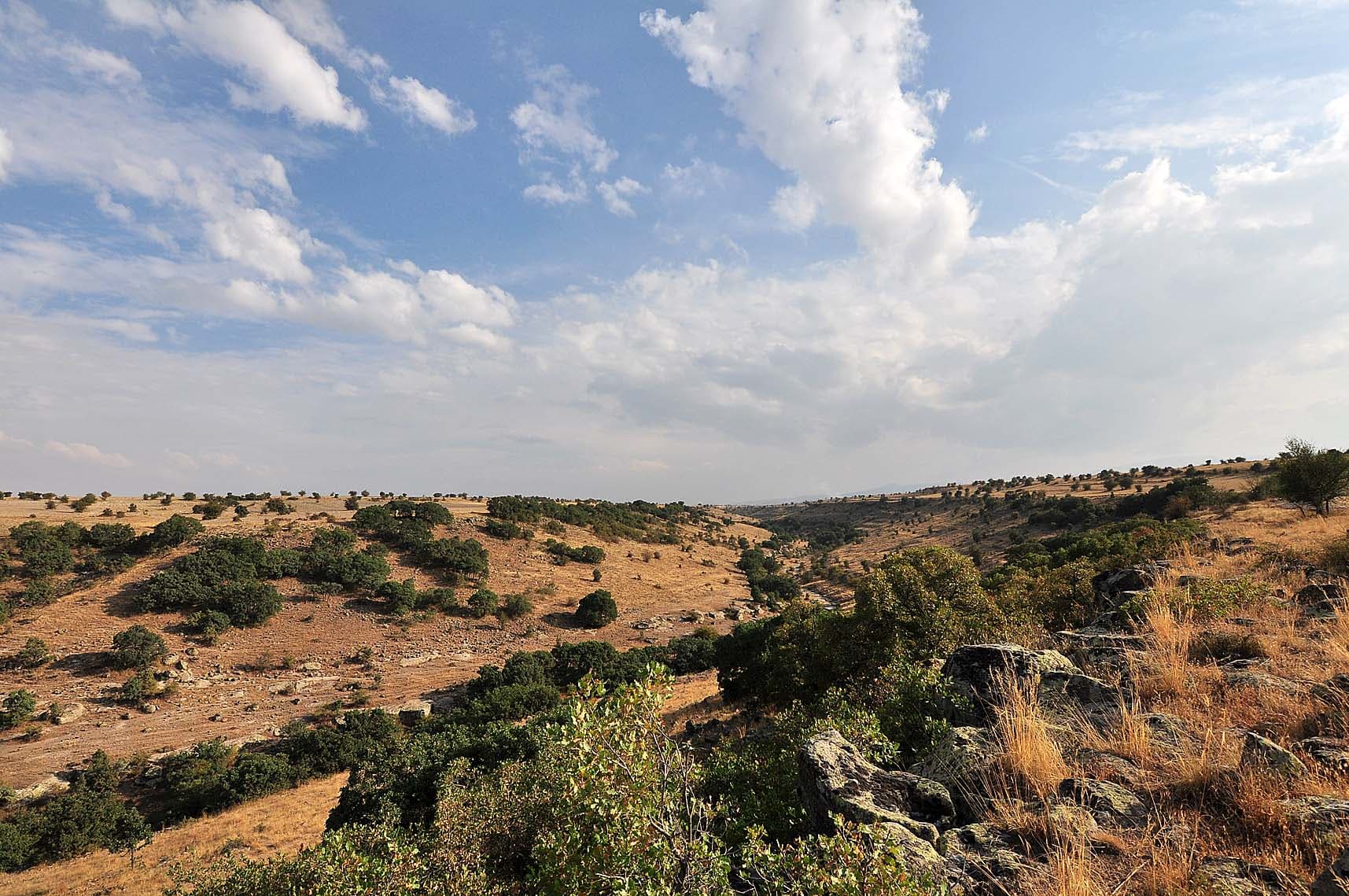 Evliyalar Mesire Alanı