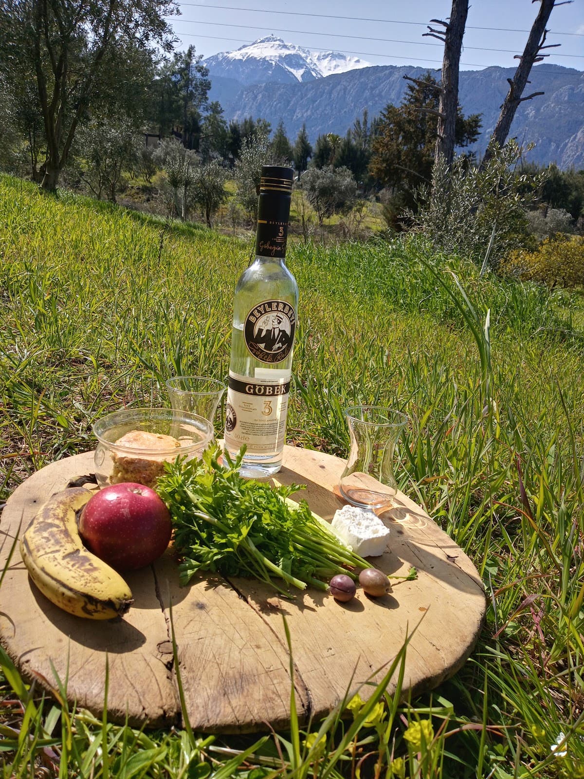 Forest view Camping Çamyuva