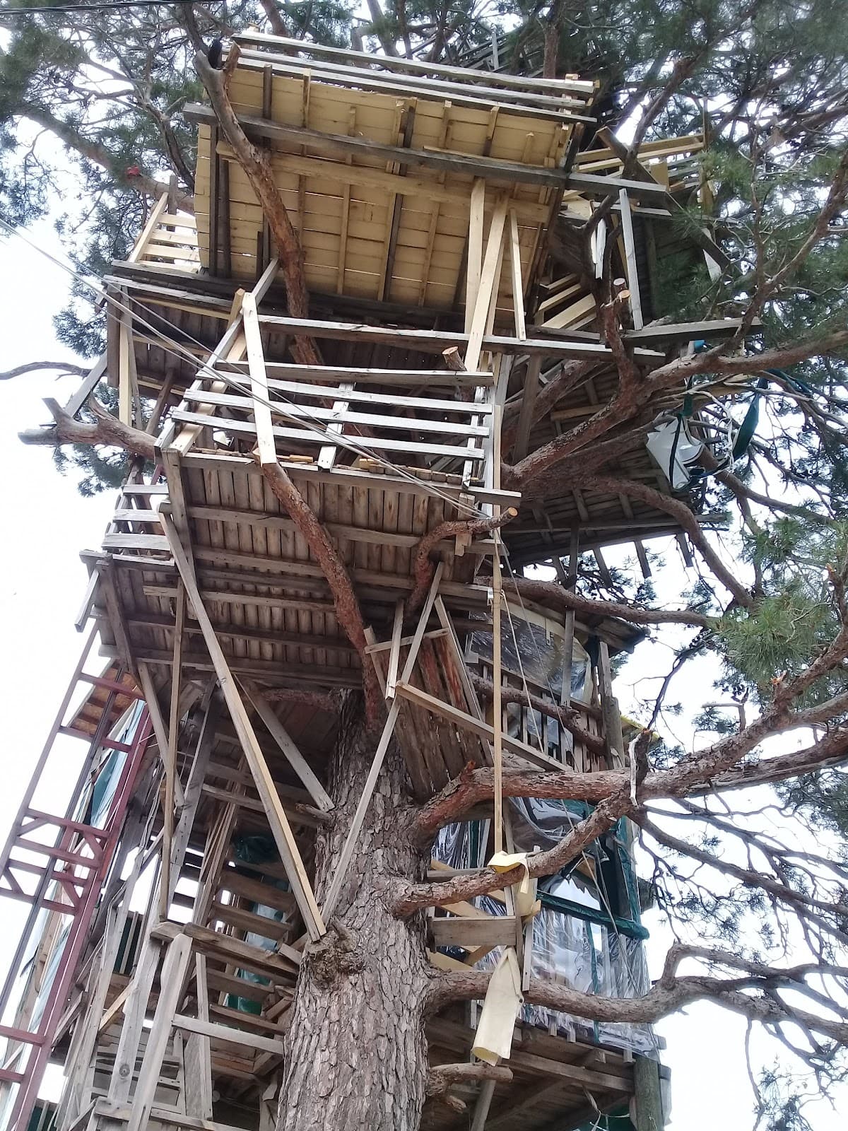 Happy Camping Nuria Teacher's Place