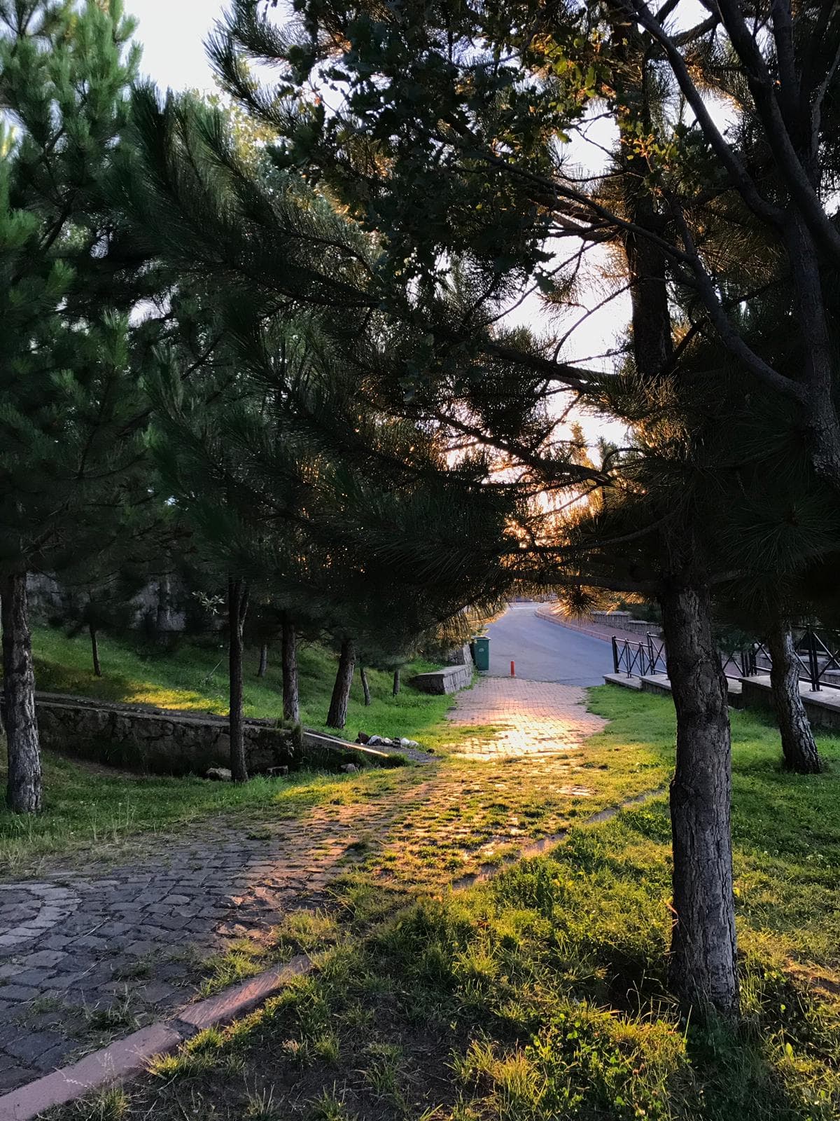 Kıranardı Mesire Alanı