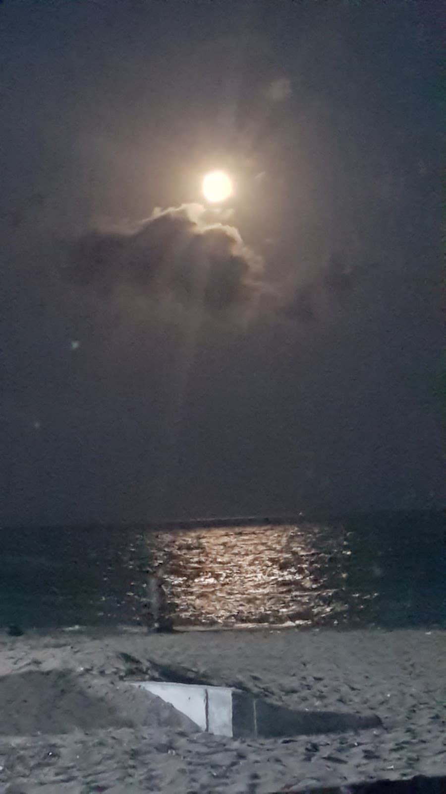 Mersin Tece Karavan Parkı