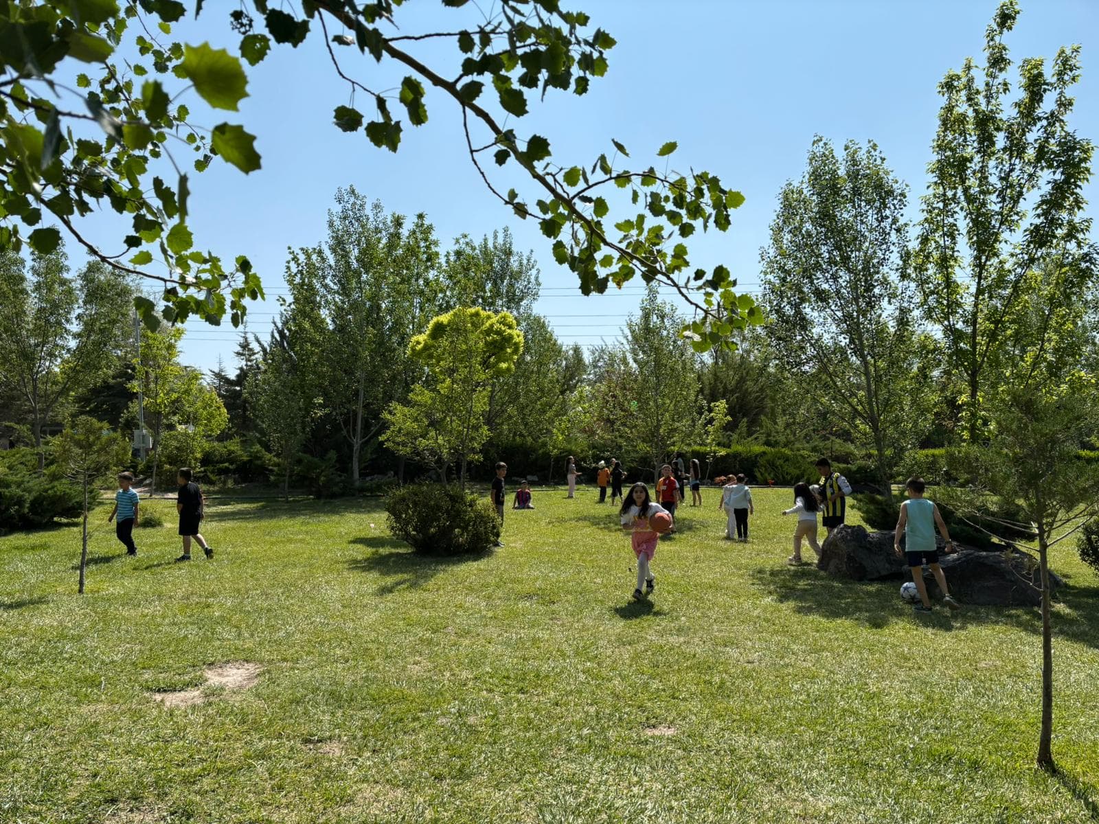 Niğde Atatürk Kent Ormanı