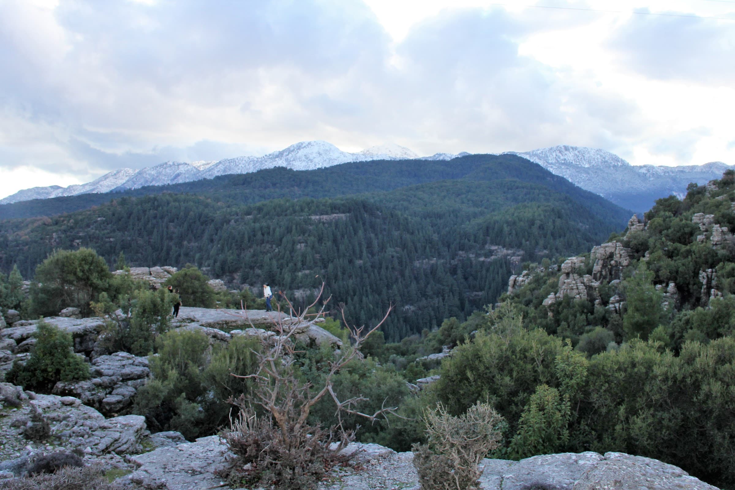 Tazı Kanyonu Kamp Alanı