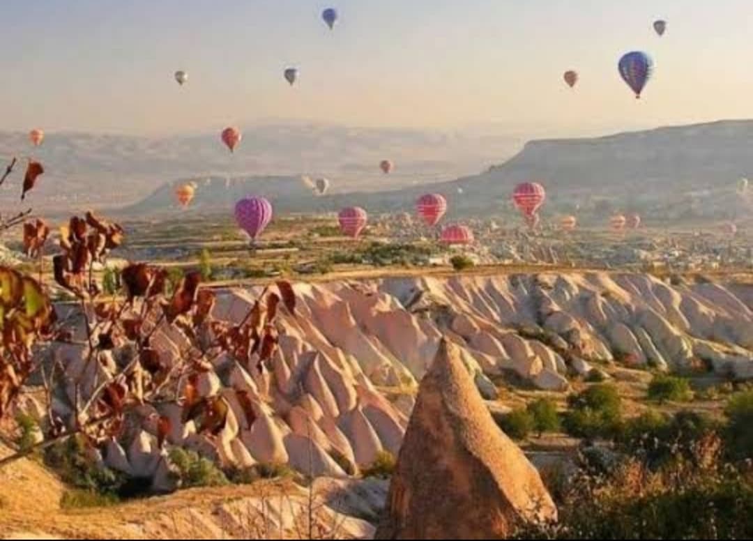 Yeşilhisar Hatıra Ormanı