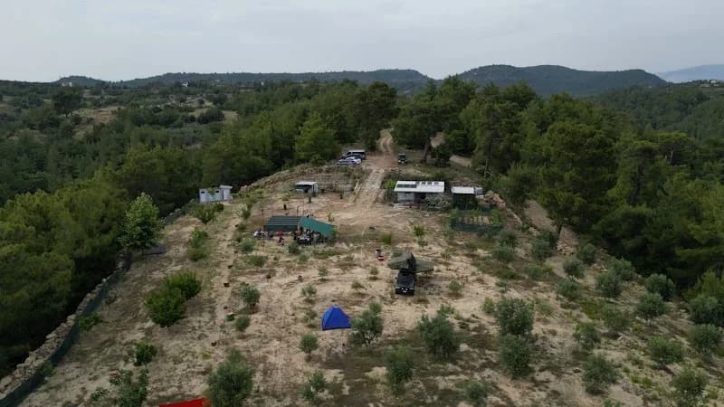 Orman camping