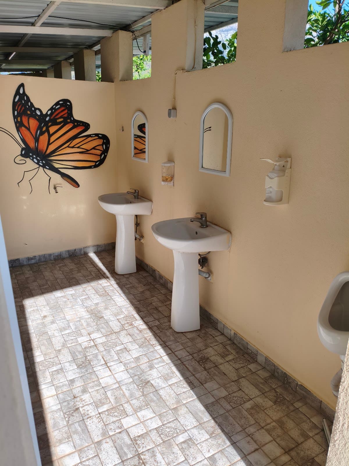 Çekirdeksiz Mandalin Camping Kemer Antalya Çadır Karavan Kamp Alanı