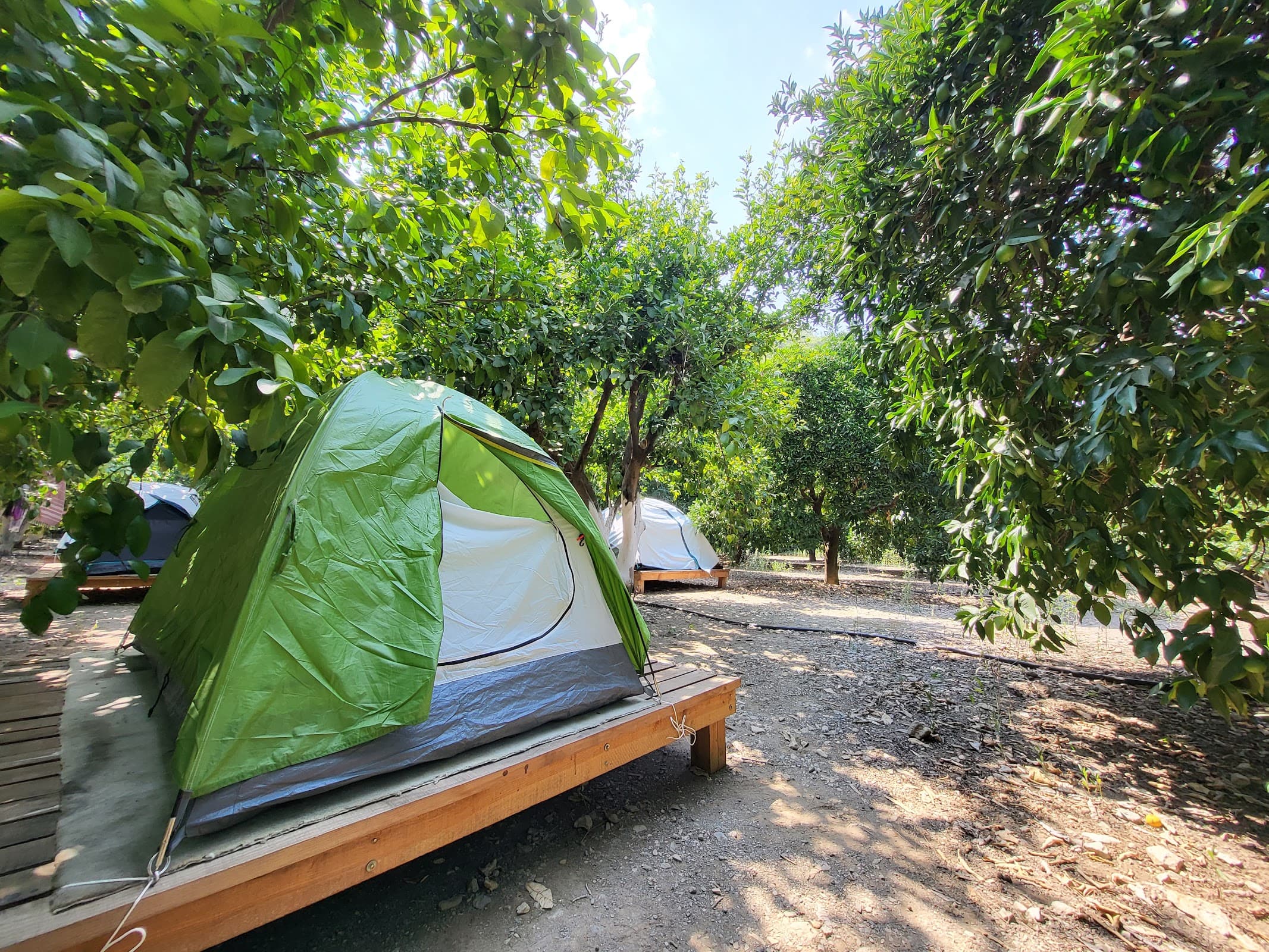 Hala'nın Yeri Kamp Alanı