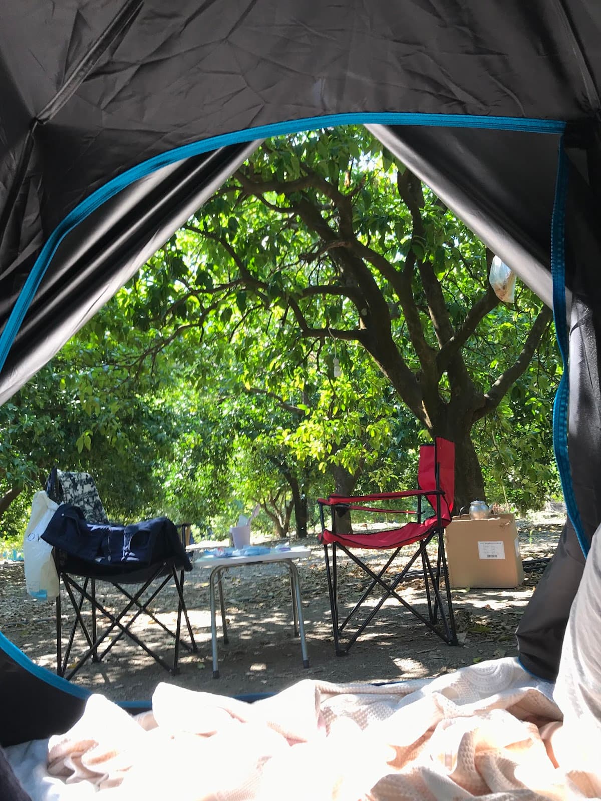 Hala'nın Yeri Kamp Alanı