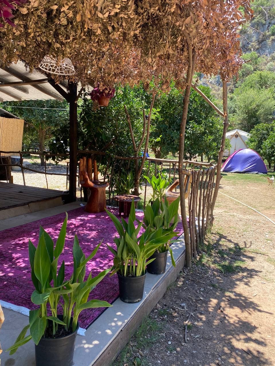 Lotus Camping Olimpos